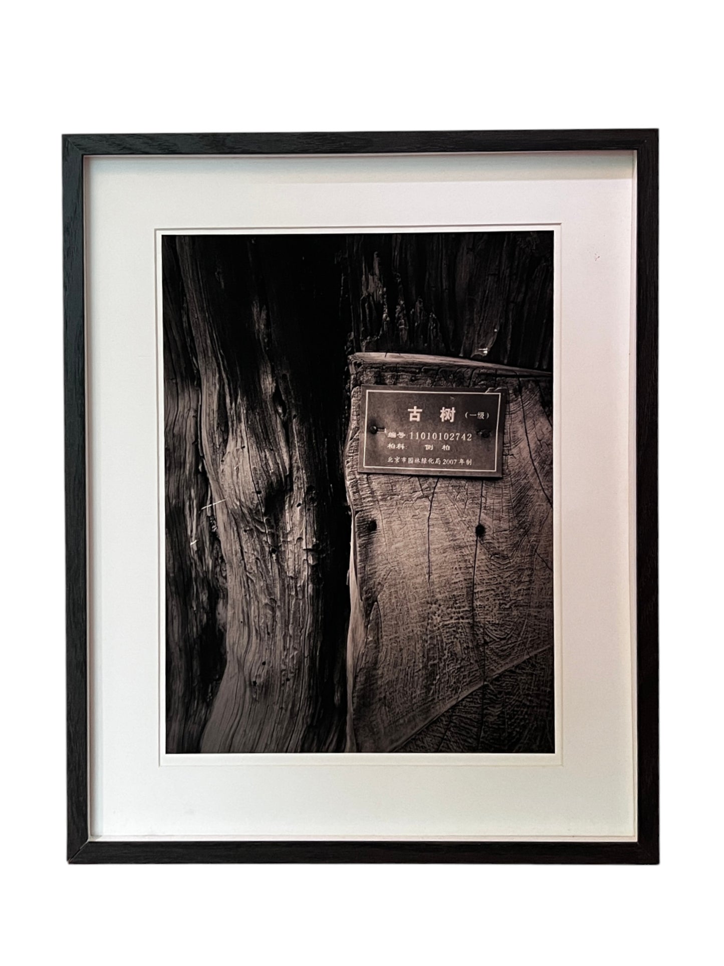 Slowness 2013 “隨