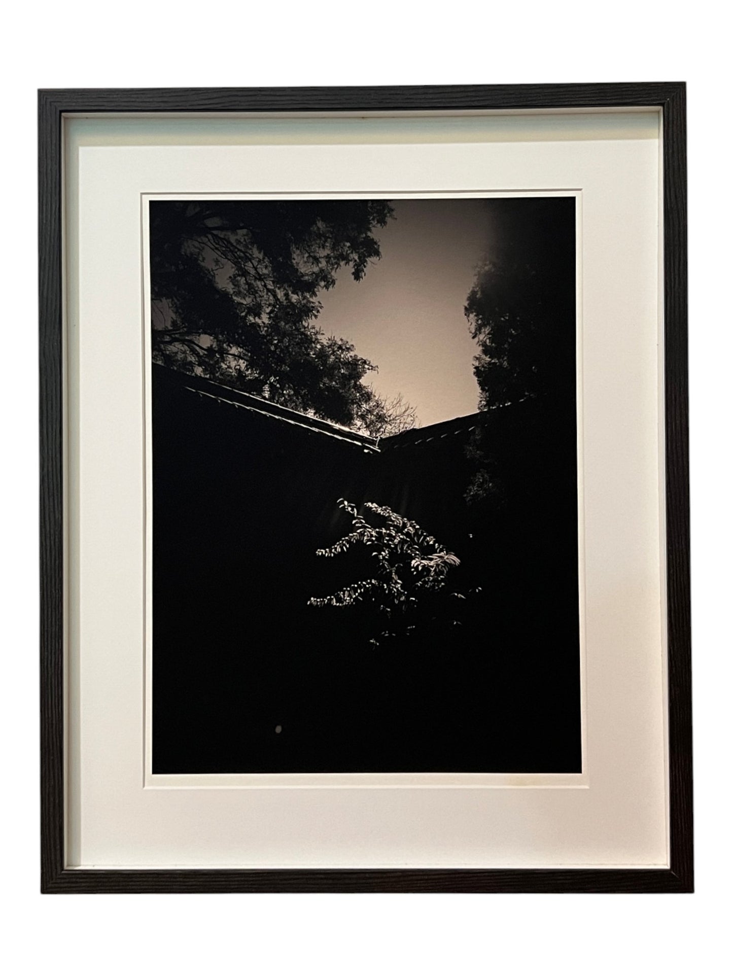 Slowness 2013 “隨