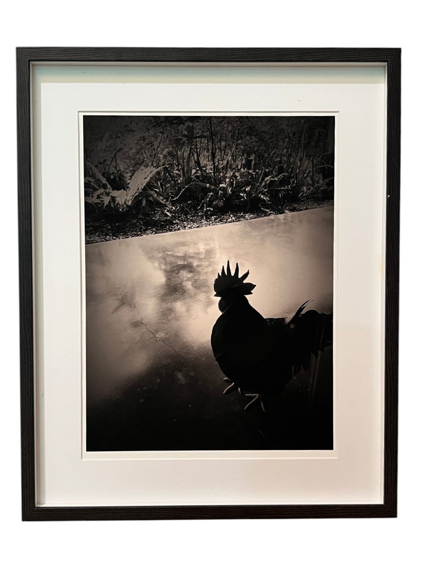 Slowness 2013 “隨