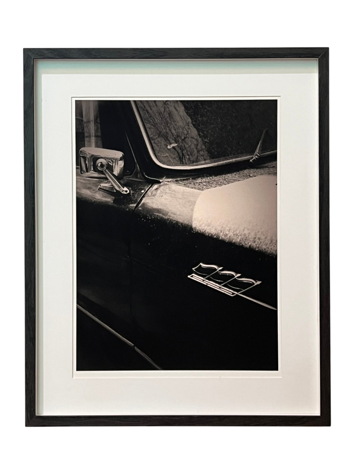 Slowness 2013 “隨